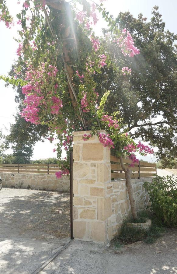 קוקינוס פירגוס Studio Panagiota - Oasis Holiday Houses מראה חיצוני תמונה